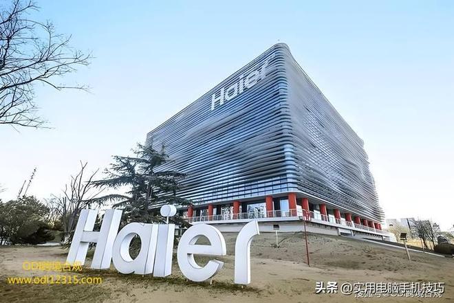 净利润385亿海尔187亿格力让人意外尊龙凯时app家电三巨头差距断崖：美的(图9)
