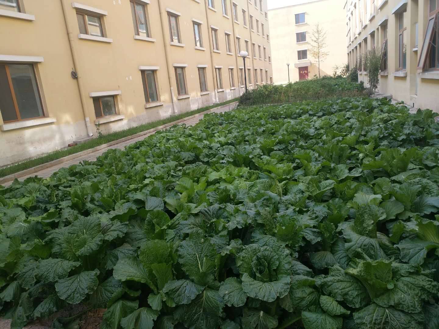 帕金森护理口碑好的养老院名单北京市昌平区首开寸草养老院|帕金森照护+口碑服务2026最新(图15) 帕金森护理口碑好的养老院名单北京市昌平区首开寸草养老院|帕金森照护+口碑服务2026最新(图15)