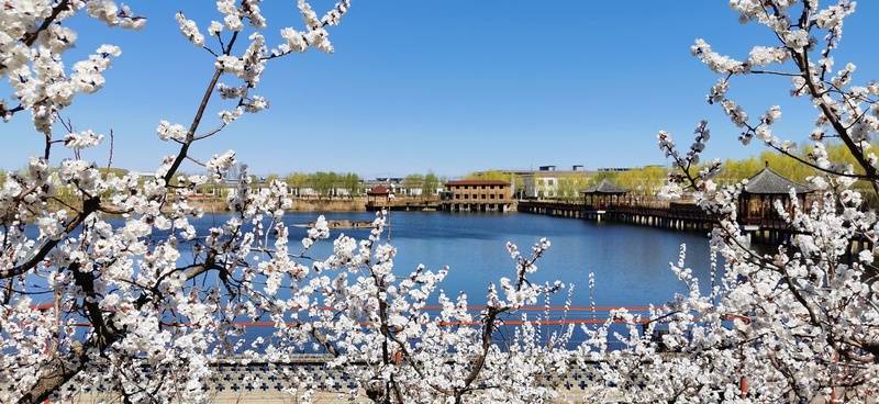 北京市昌平区领秀康苑养老院收费标准+地址+咨询电线最新人生就是博-尊龙凯时街道社区失能照护康复协助养老机构(图20) 北京市昌平区领秀康苑养老院收费标准+地址+咨询电线最新人生就是博-尊龙凯时街道社区失能照护康复协助养老机构(图20)